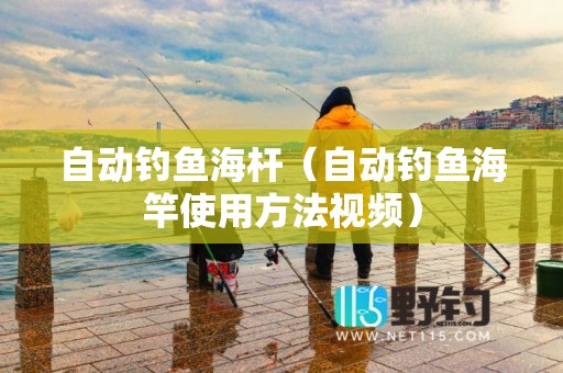 自动钓鱼海杆（自动钓鱼海竿使用方法视频）