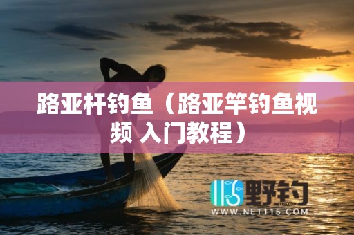 路亚杆钓鱼（路亚竿钓鱼视频 入门教程）