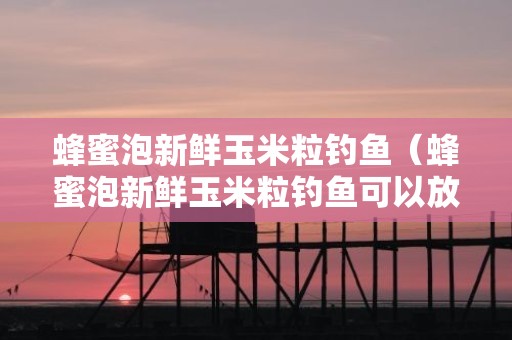 蜂蜜泡新鲜玉米粒钓鱼（蜂蜜泡新鲜玉米粒钓鱼可以放多久）