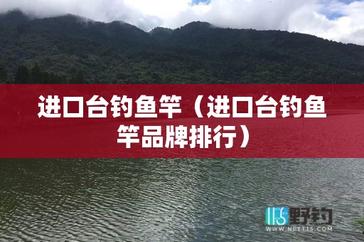 进口台钓鱼竿（进口台钓鱼竿品牌排行）