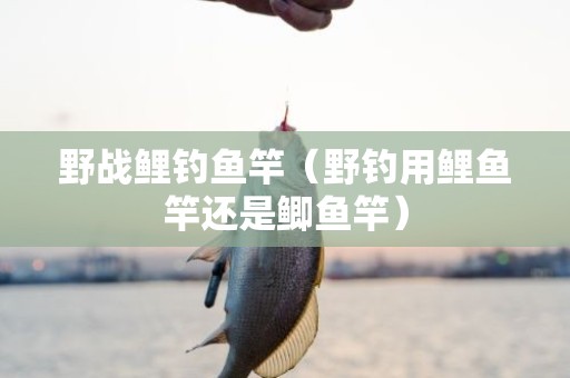 野战鲤钓鱼竿（野钓用鲤鱼竿还是鲫鱼竿）