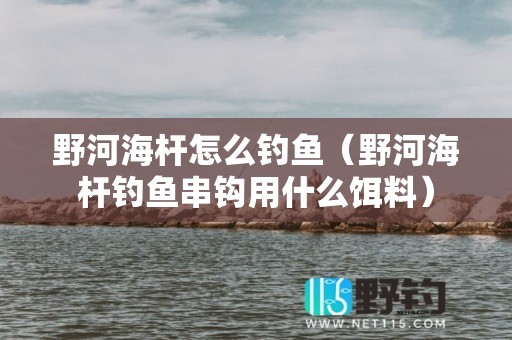 野河海杆怎么钓鱼（野河海杆钓鱼串钩用什么饵料）