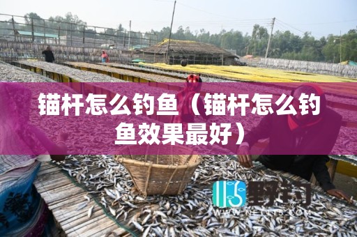 锚杆怎么钓鱼（锚杆怎么钓鱼效果最好）