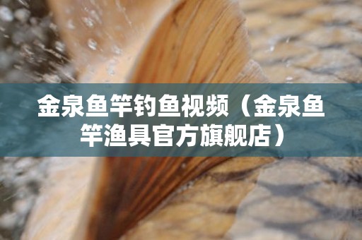 金泉鱼竿钓鱼视频（金泉鱼竿渔具官方旗舰店）