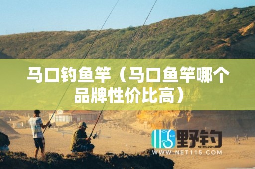 马口钓鱼竿（马口鱼竿哪个品牌性价比高）