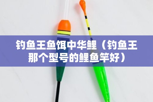钓鱼王鱼饵中华鲤（钓鱼王那个型号的鲤鱼竿好）