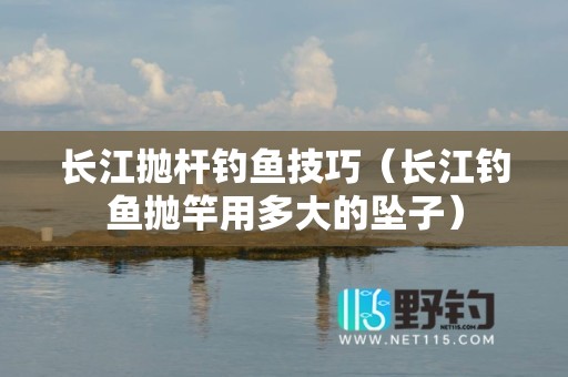 长江抛杆钓鱼技巧（长江钓鱼抛竿用多大的坠子）