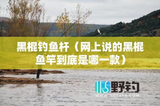 黑棍钓鱼杆（网上说的黑棍鱼竿到底是哪一款）