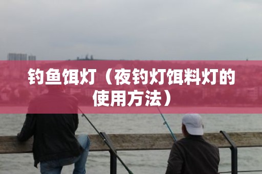 钓鱼饵灯（夜钓灯饵料灯的使用方法）