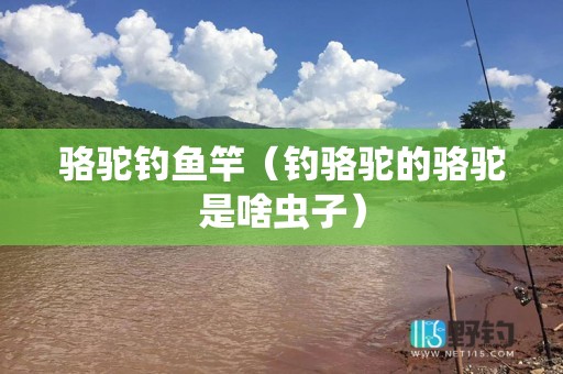骆驼钓鱼竿（钓骆驼的骆驼是啥虫子）