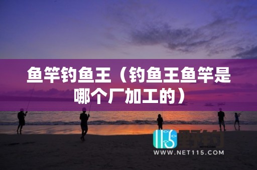 鱼竿钓鱼王（钓鱼王鱼竿是哪个厂加工的）