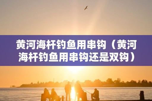 黄河海杆钓鱼用串钩（黄河海杆钓鱼用串钩还是双钩）