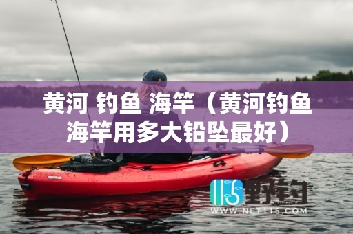 黄河 钓鱼 海竿（黄河钓鱼海竿用多大铅坠最好）
