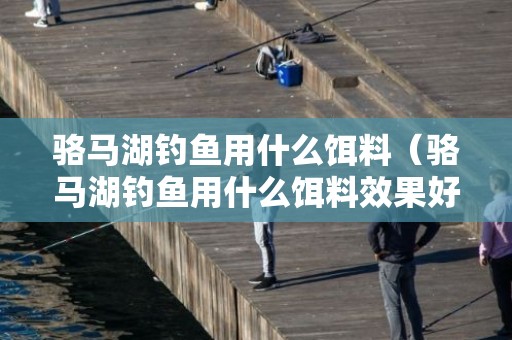 骆马湖钓鱼用什么饵料（骆马湖钓鱼用什么饵料效果好）
