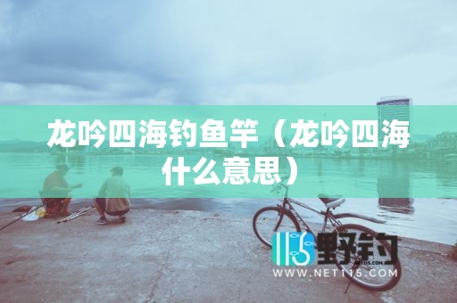 龙吟四海钓鱼竿（龙吟四海什么意思）