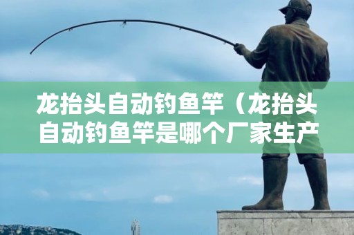 龙抬头自动钓鱼竿（龙抬头自动钓鱼竿是哪个厂家生产的）