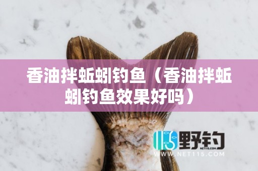 香油拌蚯蚓钓鱼（香油拌蚯蚓钓鱼效果好吗）