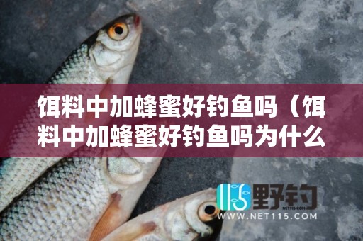 饵料中加蜂蜜好钓鱼吗（饵料中加蜂蜜好钓鱼吗为什么）