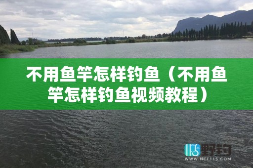 不用鱼竿怎样钓鱼（不用鱼竿怎样钓鱼视频教程）