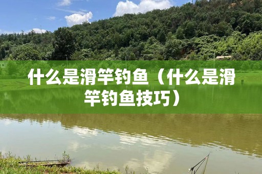 什么是滑竿钓鱼（什么是滑竿钓鱼技巧）