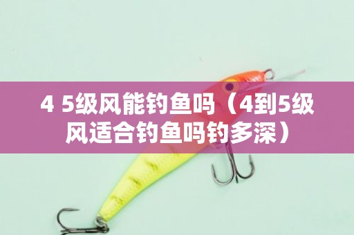 4 5级风能钓鱼吗（4到5级风适合钓鱼吗钓多深）