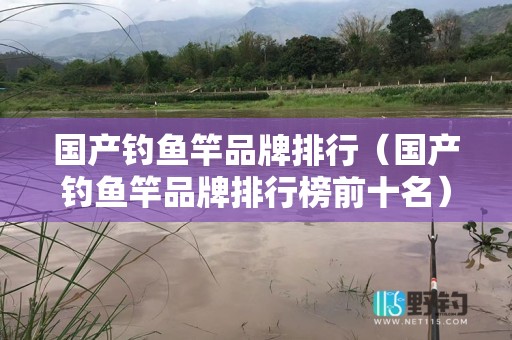 国产钓鱼竿品牌排行（国产钓鱼竿品牌排行榜前十名）