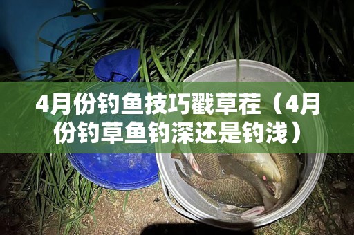 全民钓鱼鱼竿强化上限（全民钓鱼装备属性一览表）