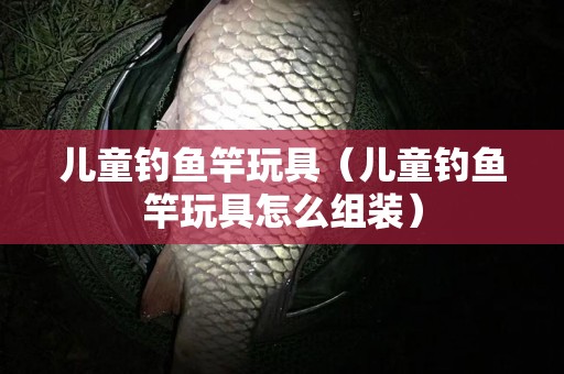 儿童钓鱼竿玩具（儿童钓鱼竿玩具怎么组装）