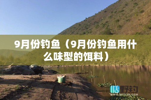 9月份钓鱼（9月份钓鱼用什么味型的饵料）
