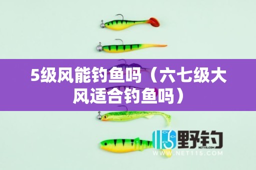 5级风能钓鱼吗（六七级大风适合钓鱼吗）
