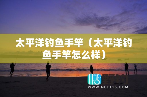 太平洋钓鱼手竿（太平洋钓鱼手竿怎么样）