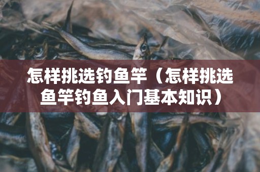 怎样挑选钓鱼竿（怎样挑选鱼竿钓鱼入门基本知识）