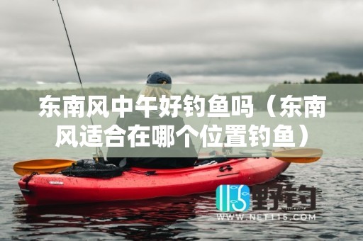 东南风中午好钓鱼吗（东南风适合在哪个位置钓鱼）