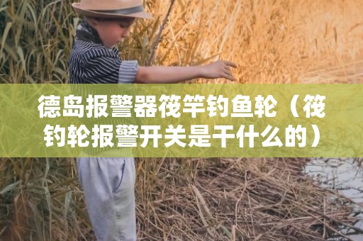 德岛报警器筏竿钓鱼轮（筏钓轮报警开关是干什么的）
