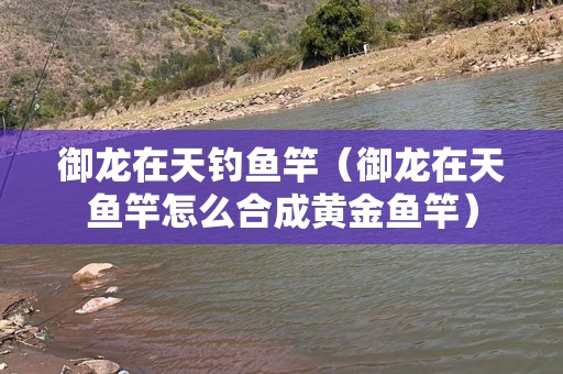 御龙在天钓鱼竿（御龙在天鱼竿怎么合成黄金鱼竿）