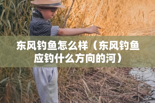 东风钓鱼怎么样（东风钓鱼应钓什么方向的河）