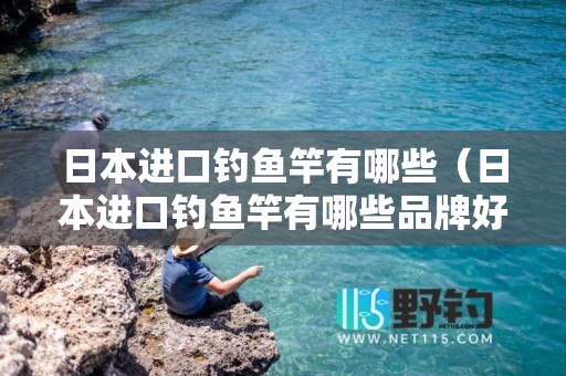 日本进口钓鱼竿有哪些（日本进口钓鱼竿有哪些品牌好）