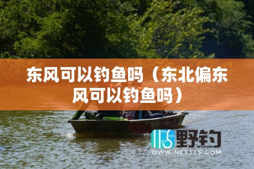 东风可以钓鱼吗（东北偏东风可以钓鱼吗）