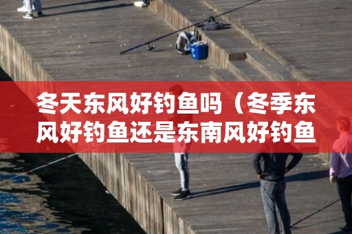 冬天东风好钓鱼吗（冬季东风好钓鱼还是东南风好钓鱼）