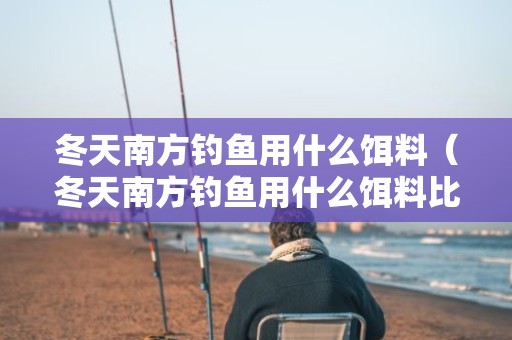 冬天南方钓鱼用什么饵料（冬天南方钓鱼用什么饵料比较好）