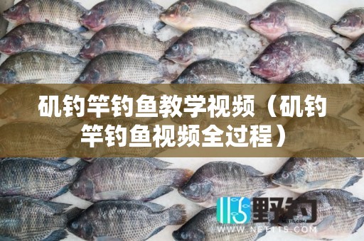 矶钓竿钓鱼教学视频（矶钓竿钓鱼视频全过程）