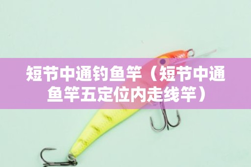 短节中通钓鱼竿（短节中通鱼竿五定位内走线竿）