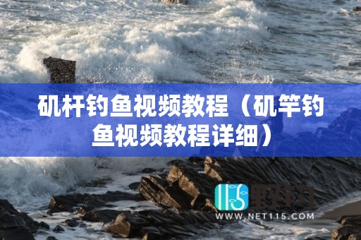 矶杆钓鱼视频教程（矶竿钓鱼视频教程详细）