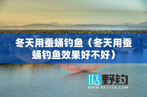 冬天用蚕蛹钓鱼（冬天用蚕蛹钓鱼效果好不好）