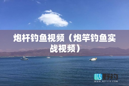 炮杆钓鱼视频（炮竿钓鱼实战视频）