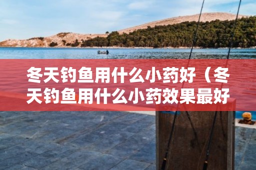 冬天钓鱼用什么小药好（冬天钓鱼用什么小药效果最好）