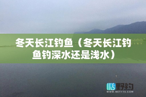 冬天长江钓鱼（冬天长江钓鱼钓深水还是浅水）