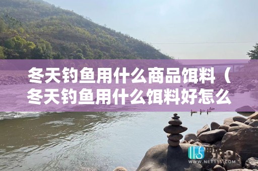 冬天钓鱼用什么商品饵料（冬天钓鱼用什么饵料好怎么调配鱼料）
