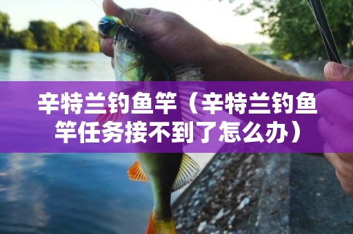 辛特兰钓鱼竿（辛特兰钓鱼竿任务接不到了怎么办）