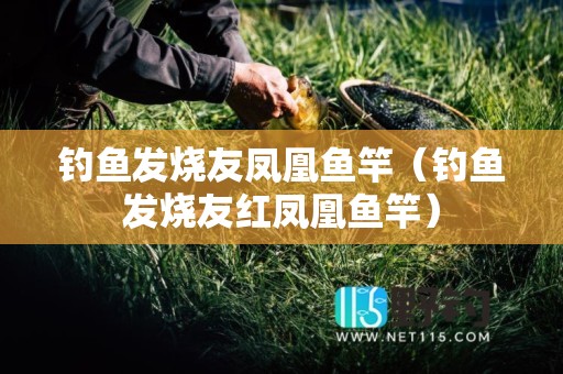 钓鱼发烧友凤凰鱼竿（钓鱼发烧友红凤凰鱼竿）